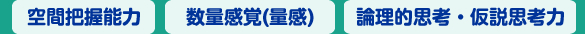 空間把握能力・数的処理能力（量感）・論理的思考・仮説思考力